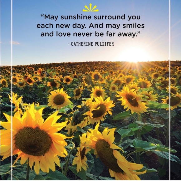 Meet your Posher, Ibelca - Picture 3 of 5